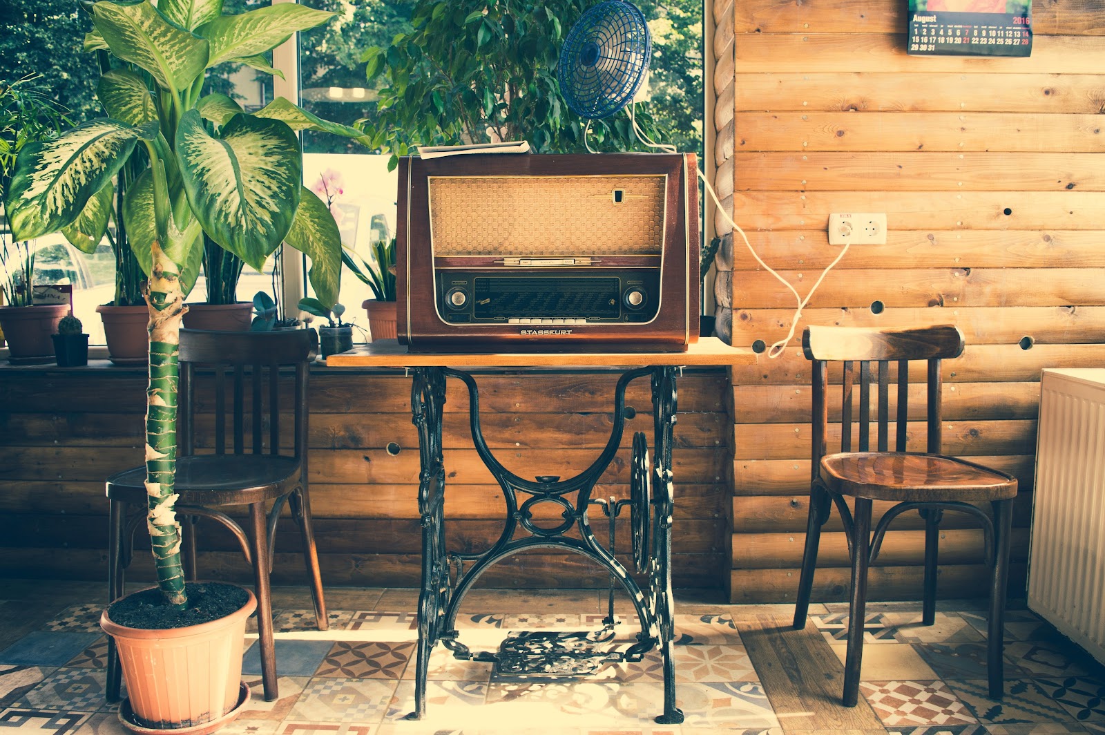 How to Keep Your Sentimental Goods Safe While Living Abroad: A Guide to Sustainable Storage